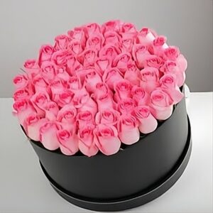 50 Pink Rose Love