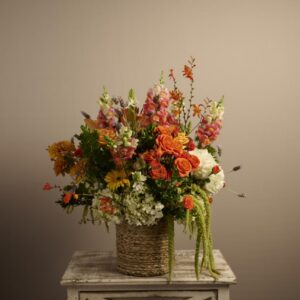 Shades of Orange