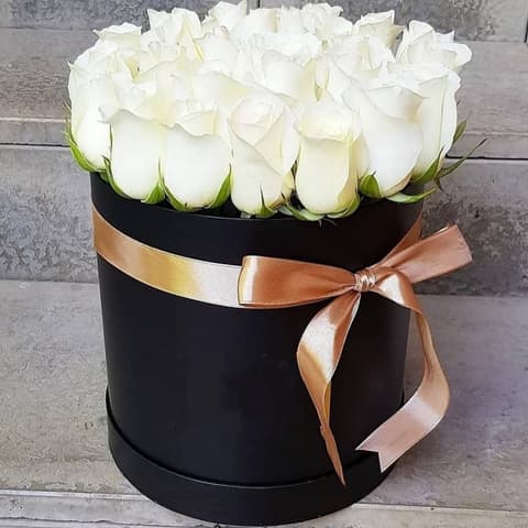 White in Love